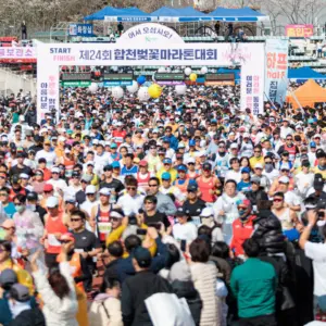 합천벚꽃마라톤대회